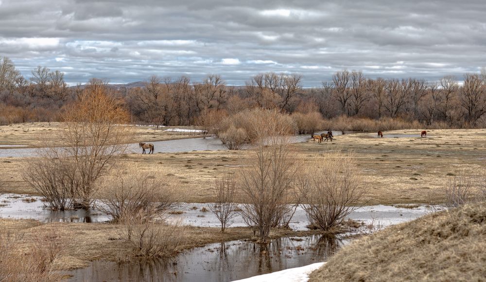 Photograph by Сергей Синягин