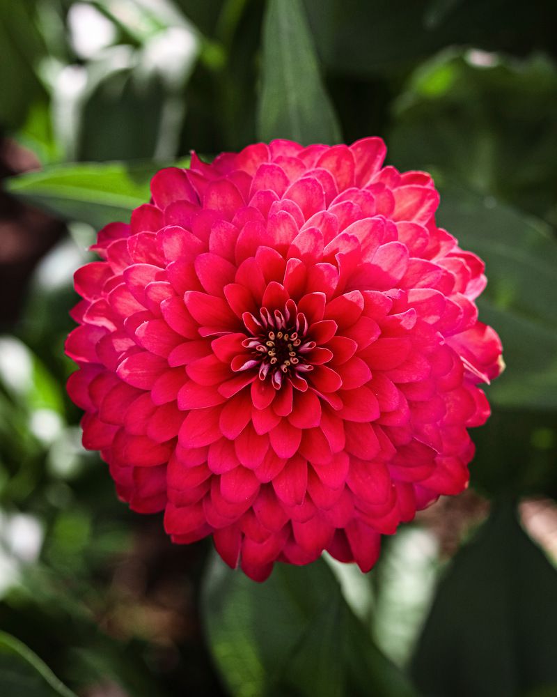 Photograph by FARZIN ABEDINI