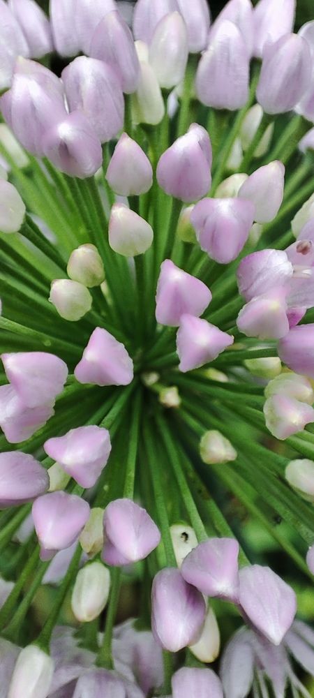 Photograph by Светлана Батурова