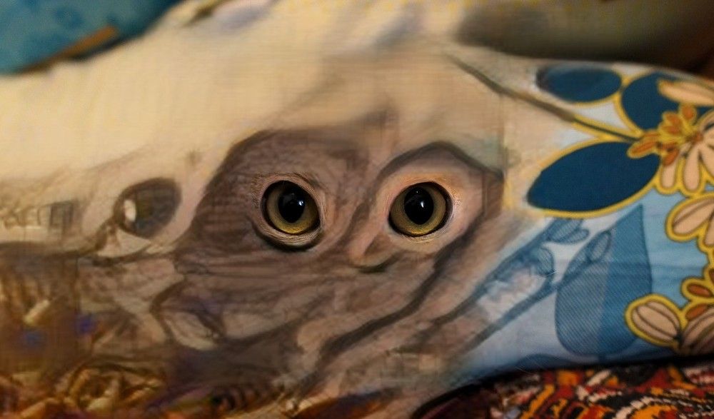 Eyes are not only the most important of sensory organs but it is also a very strong symbol