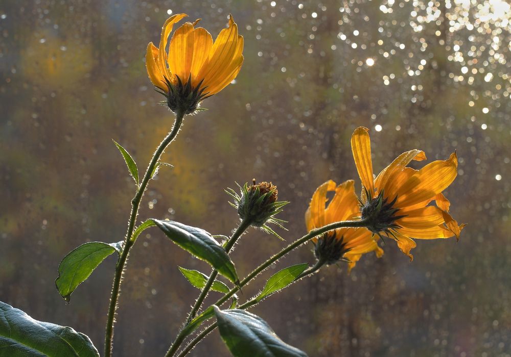 Photograph by Александр Попов