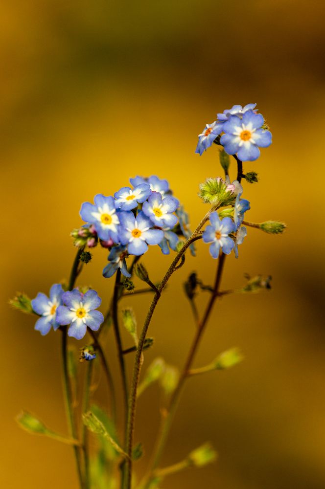 Photograph by irfan demirel