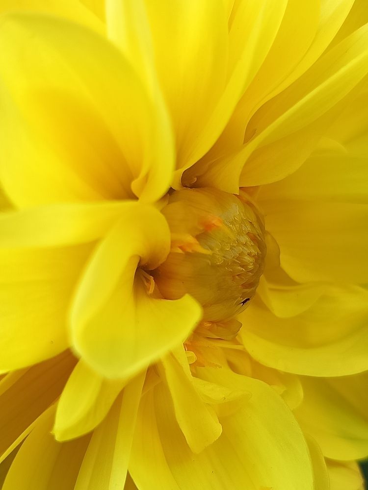 Photograph by Галина Смирнова