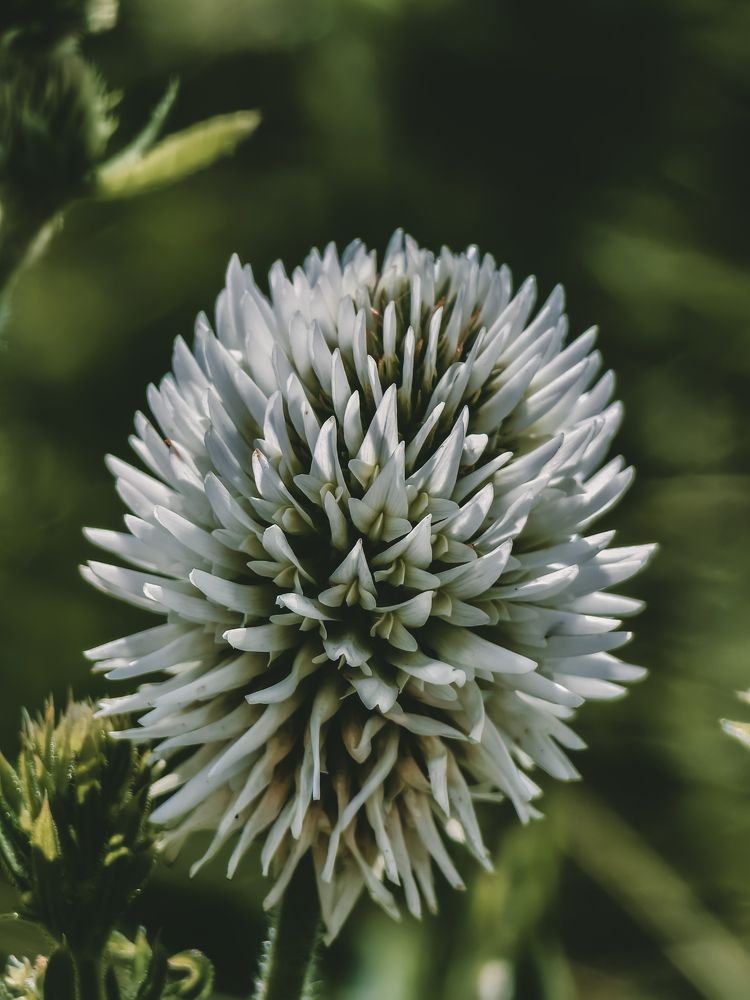 Фотография автора Владислав Белоус