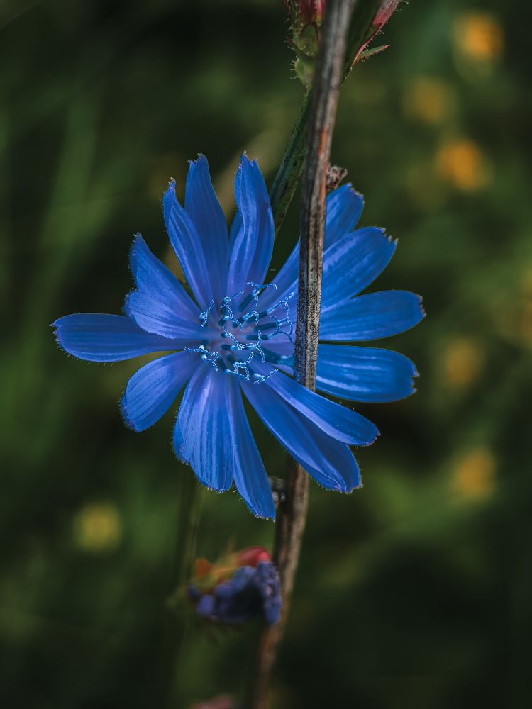 Фотография автора Владислав Белоус