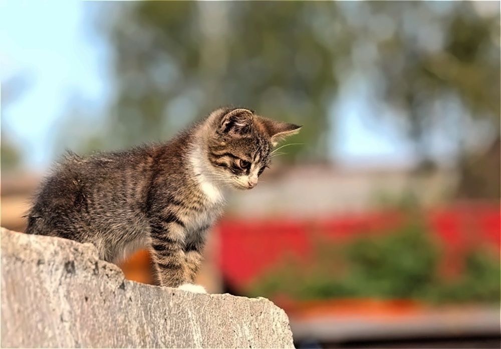 Photograph by Татьяна Слесарева