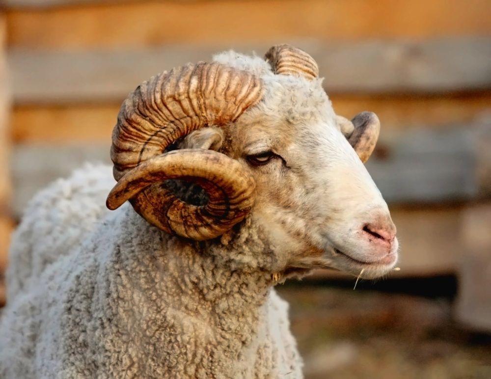 Photograph by Татьяна Слесарева