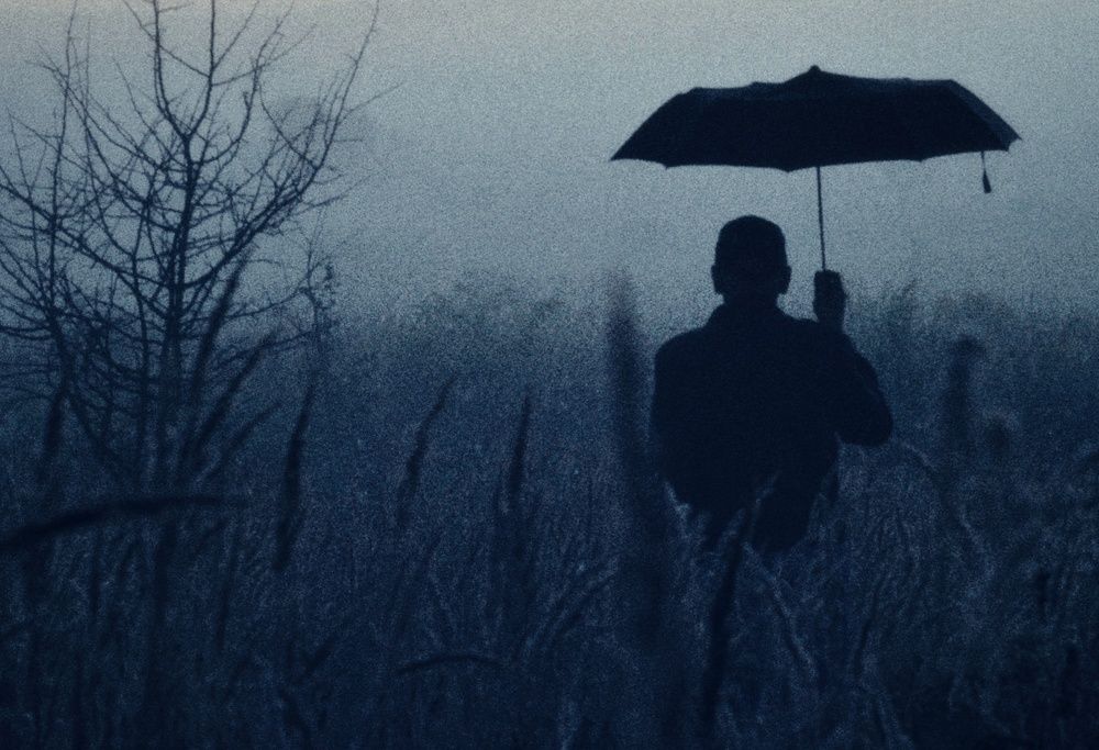 Photograph by Инна Карасева