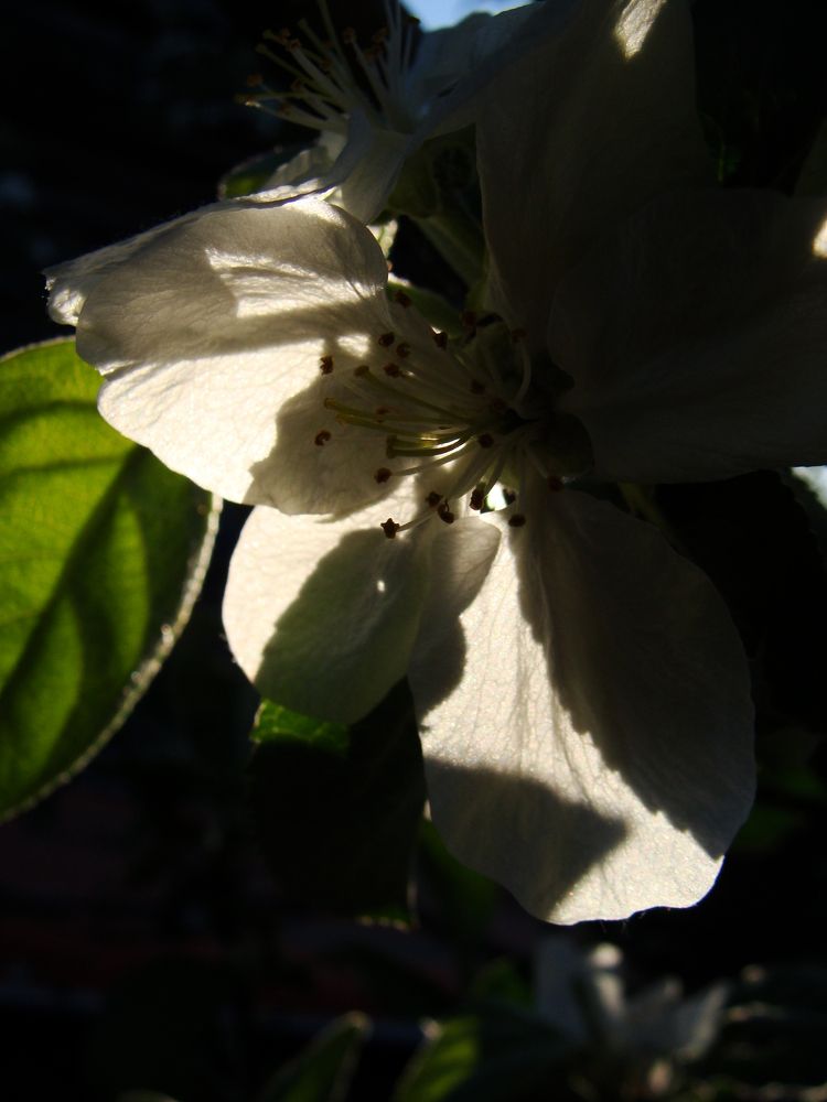 Photograph by Николай Худяков