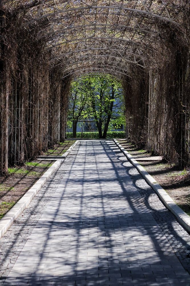 Photograph by Олеся Хижко