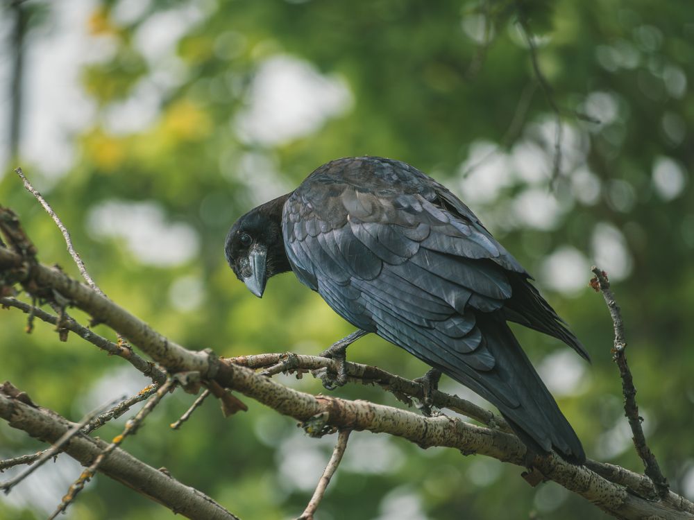 Фотография автора Владислав Белоус
