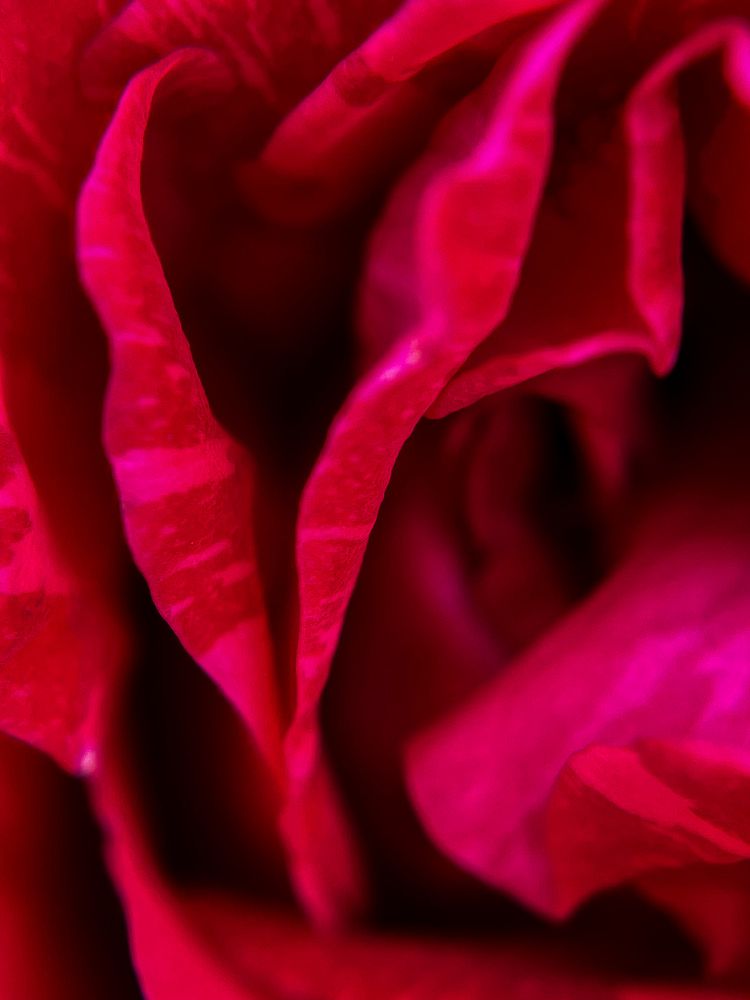 Photograph by Анна Пигулевская