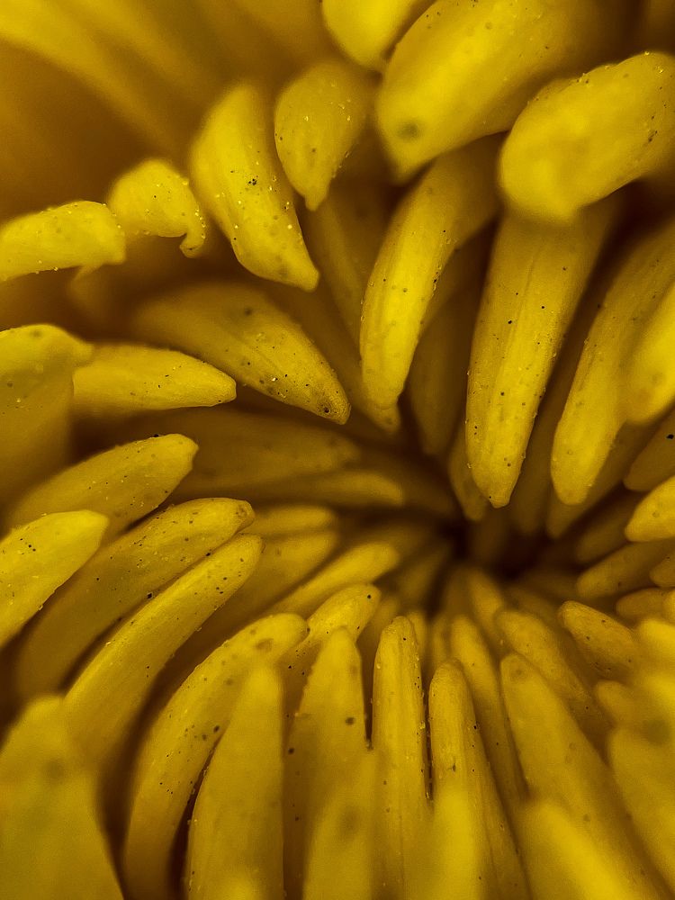 Photograph by Анна Пигулевская