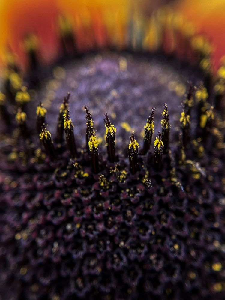 Photograph by Анна Пигулевская