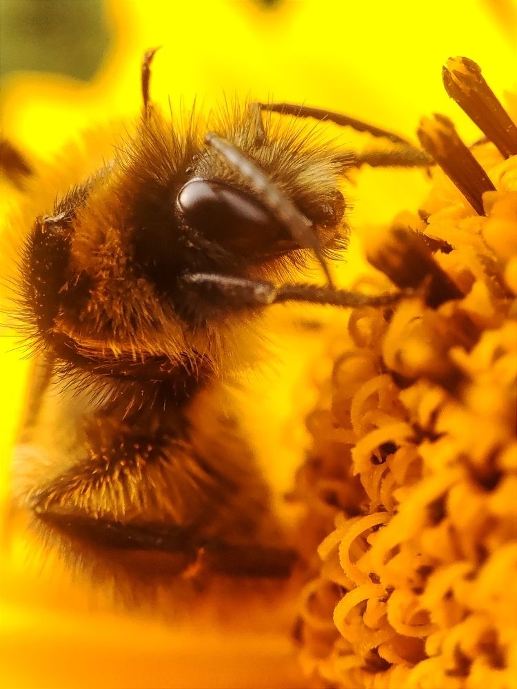 Photograph by Юлия Гинтер