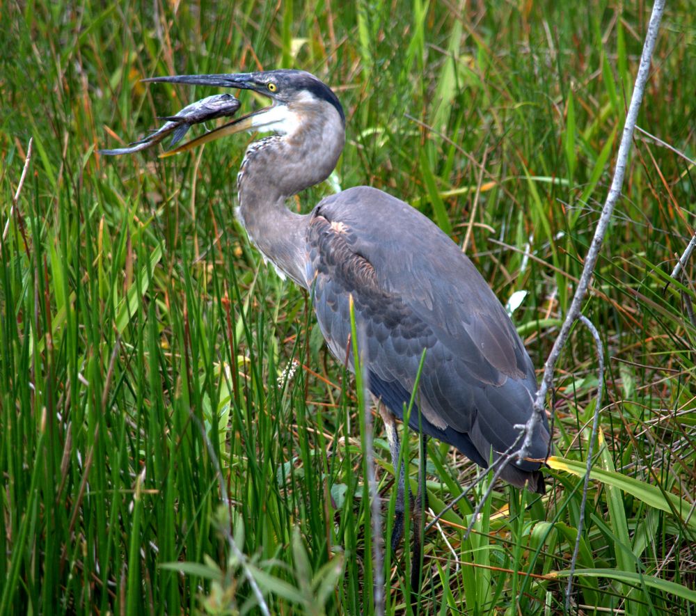 Photograph by Jonathan Lavan