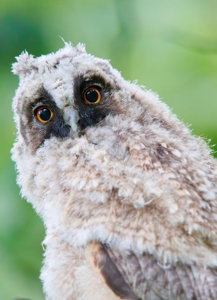 Photograph by Дарья Басова