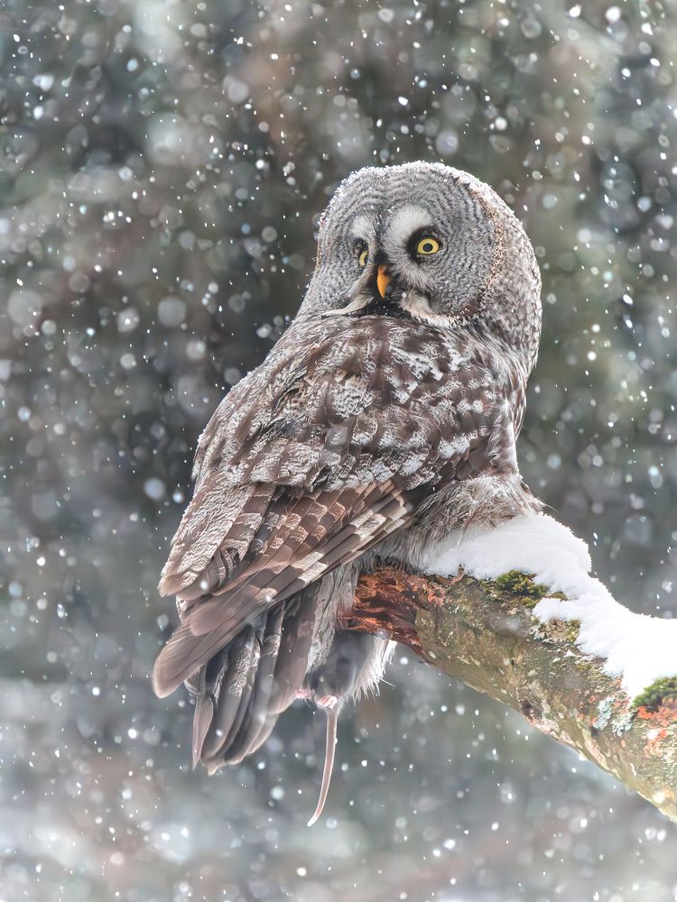 Photograph by Дарья Басова