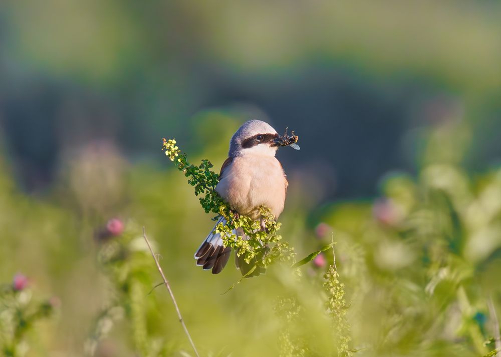 Photograph by Дарья Басова