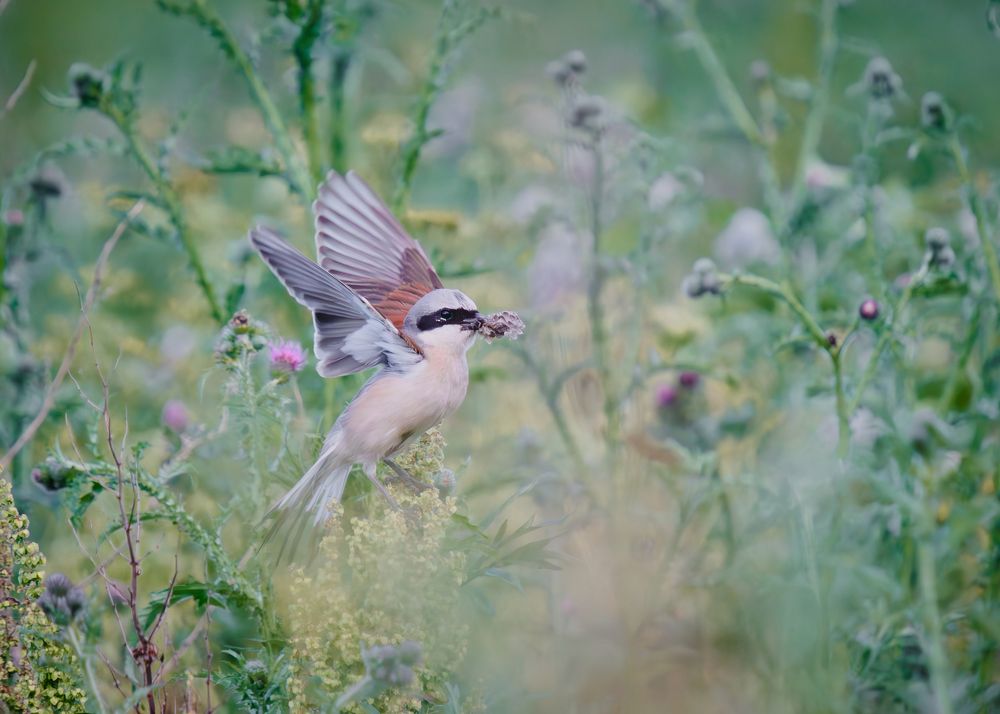 Photograph by Дарья Басова