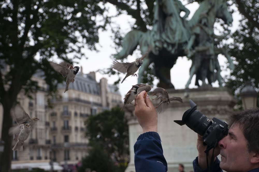 Photograph by Инна Миронова