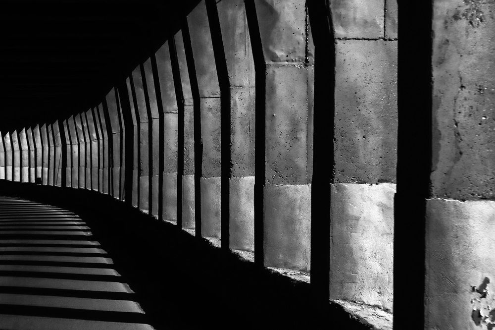 Photograph by reza zanganeh