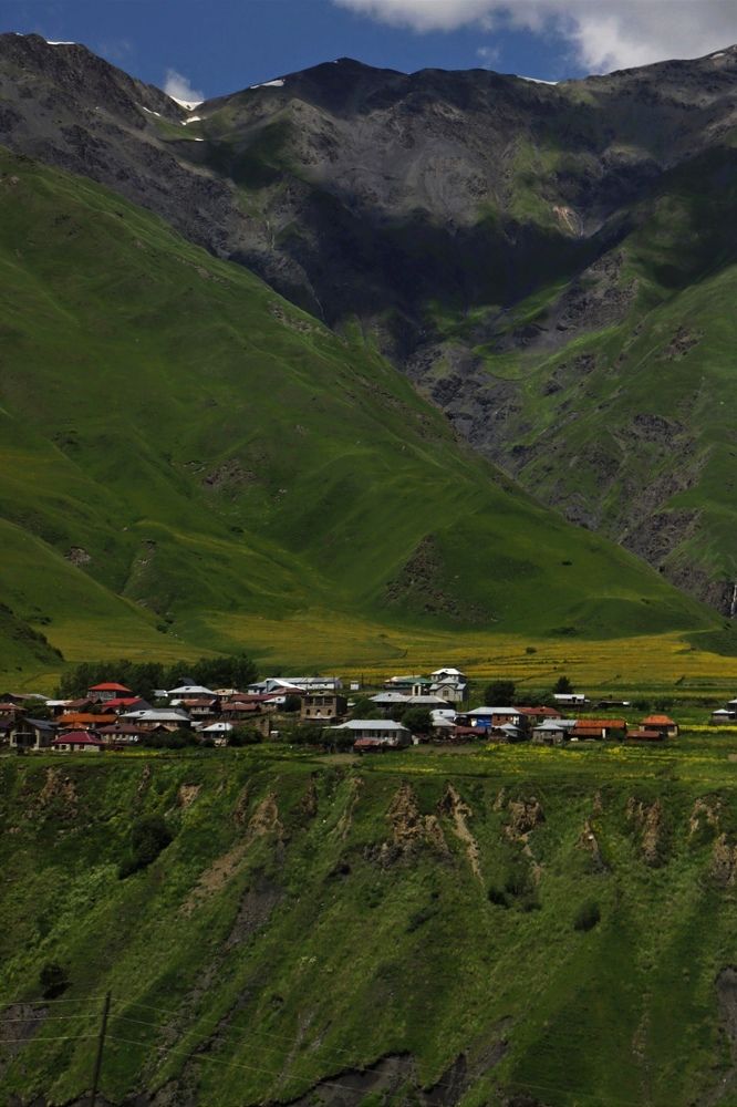 Фотография автора Алиса