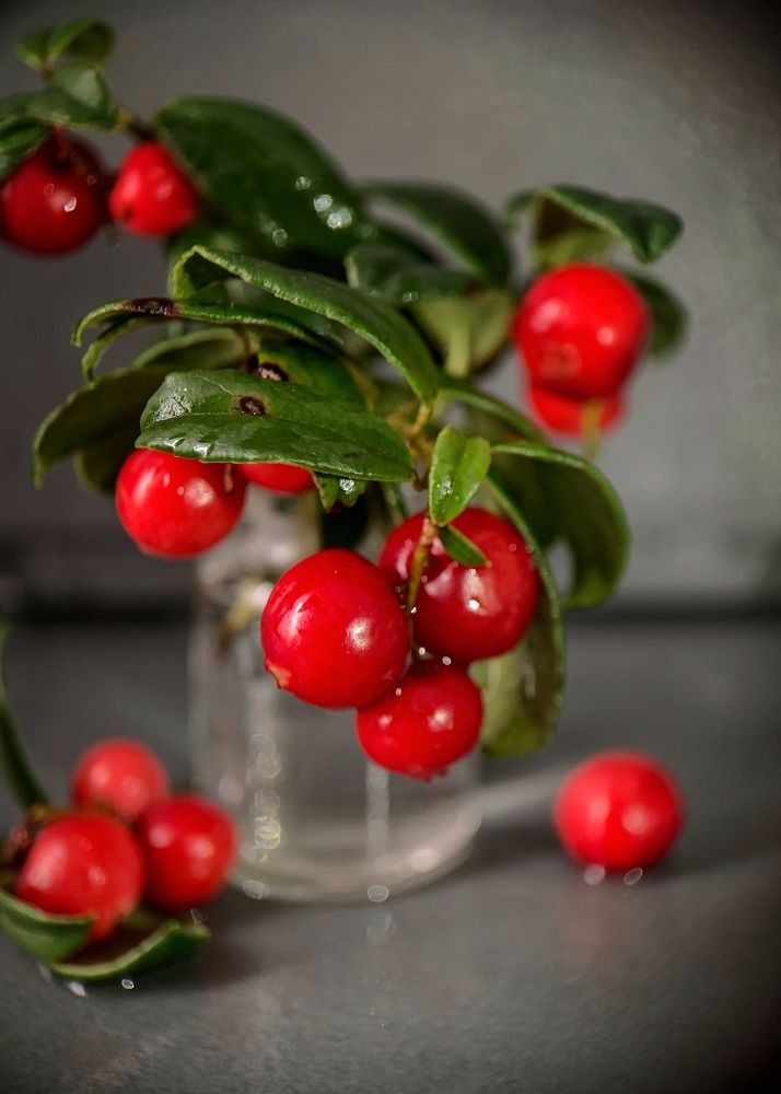 Photograph by Надежда Смирнова