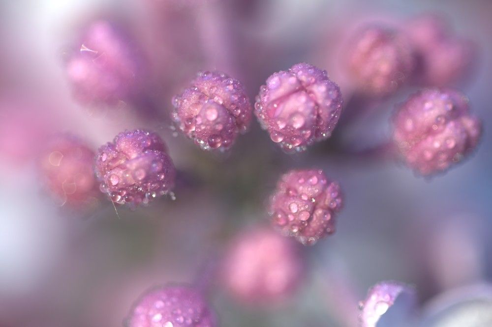 Photograph by Сергей Вальков