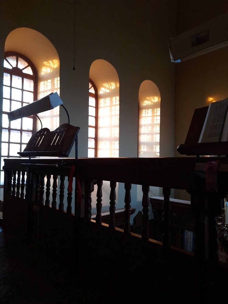 Фотография автора Алена Богданова