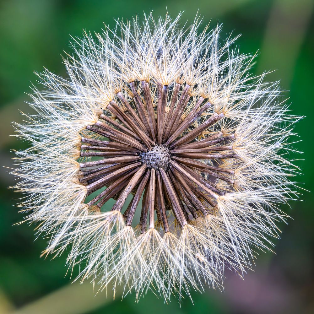 Photograph by Вячеслав Белов