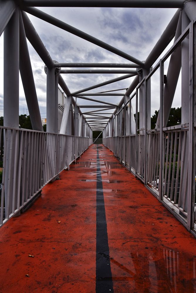Photograph by Mohammad Ali Akhoundian Torshizi
