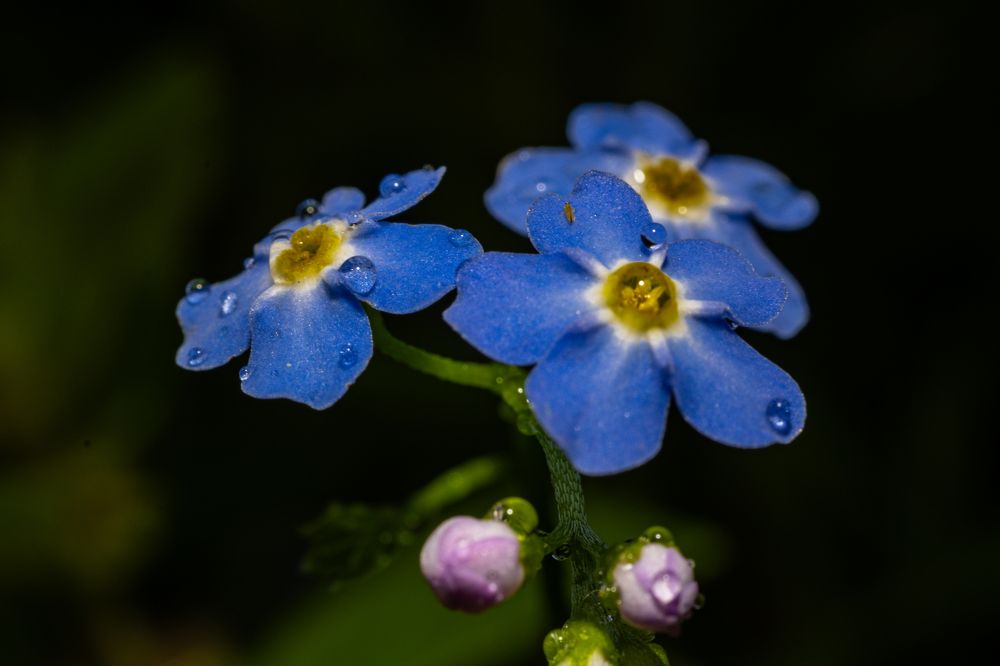 Photograph by Vitaly Zubkov