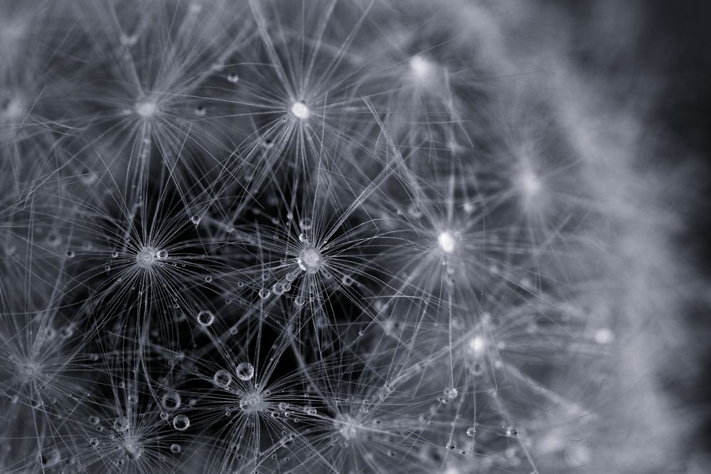 Фотография автора Василев Теодор