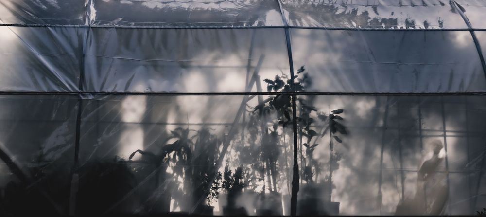 Photograph by Efi Laskari