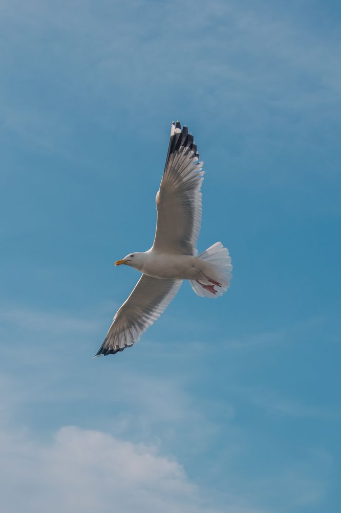 Photograph by Денис Пучков