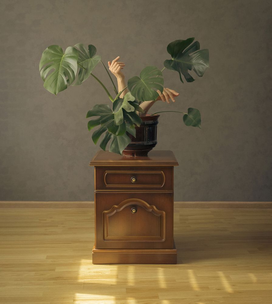 Photograph by Berezhna Julia