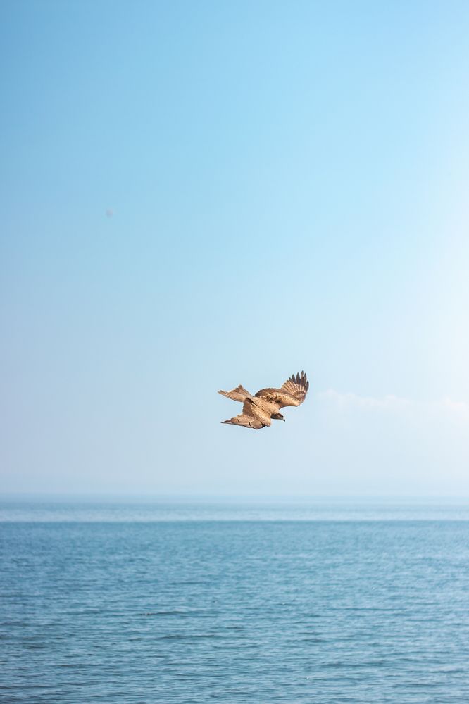 Photograph by Денис Пучков