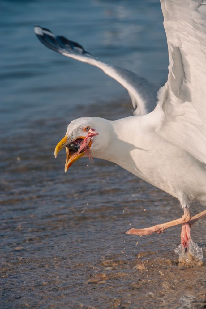 Photograph by Денис Пучков