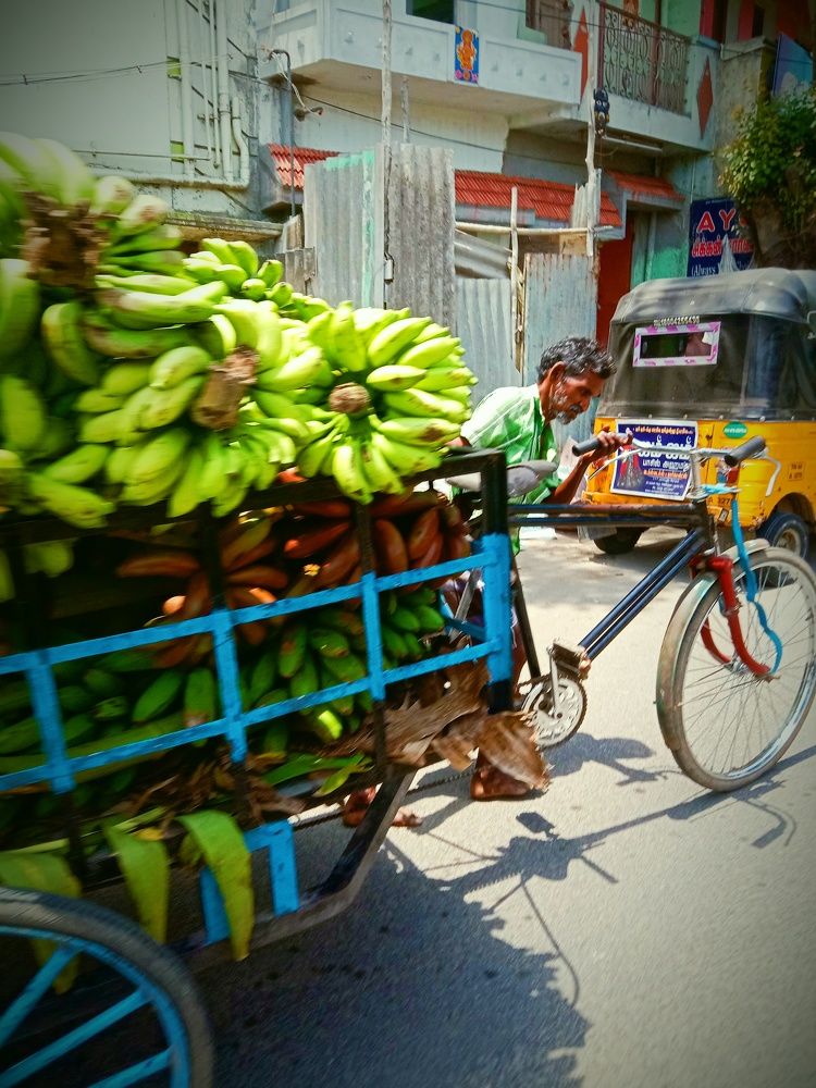 Фотография автора Captured Chronicles