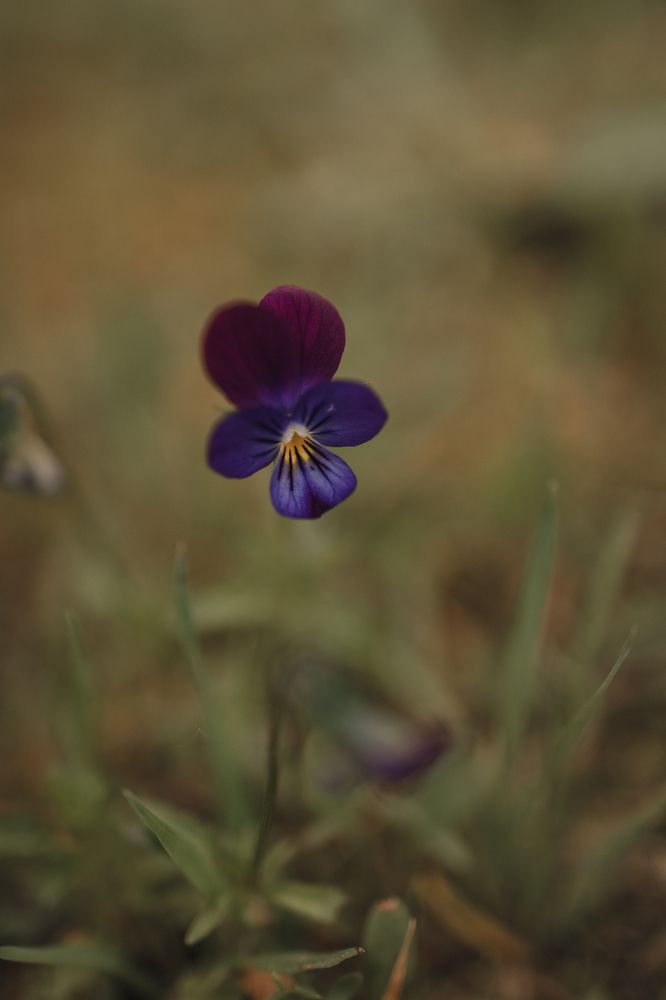 Photograph by Бальзирова Наталья