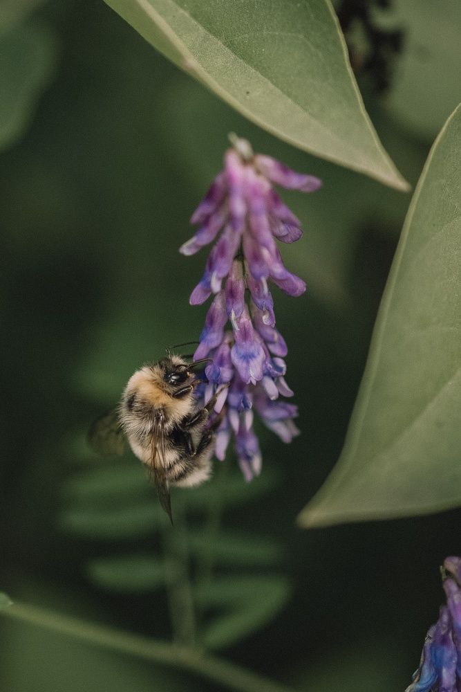Photograph by Бальзирова Наталья