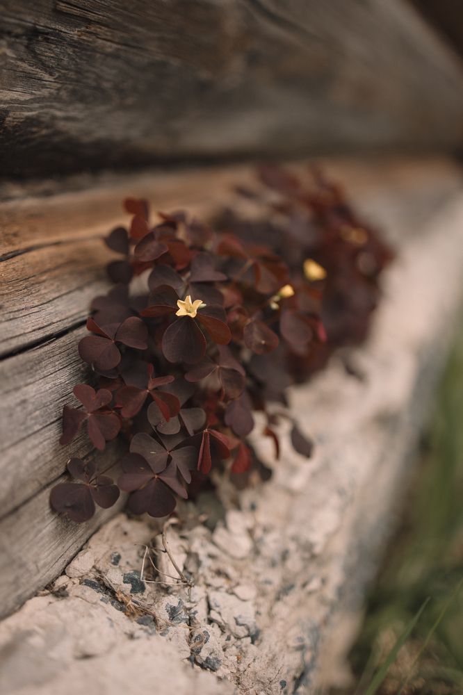 Photograph by Бальзирова Наталья