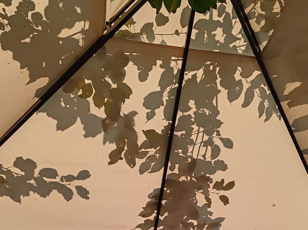 Photograph by Наталья Круглова