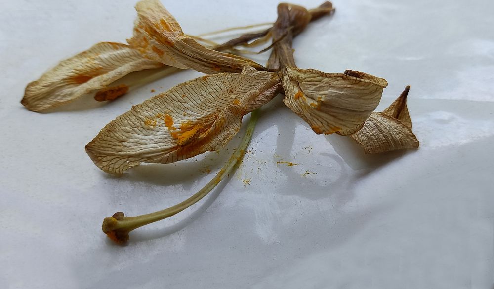 Photograph by Ирина Архипова