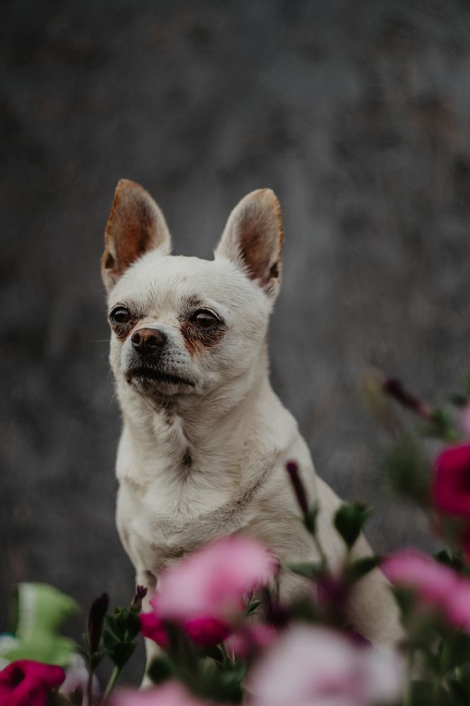 Photograph by Anna Dubinina