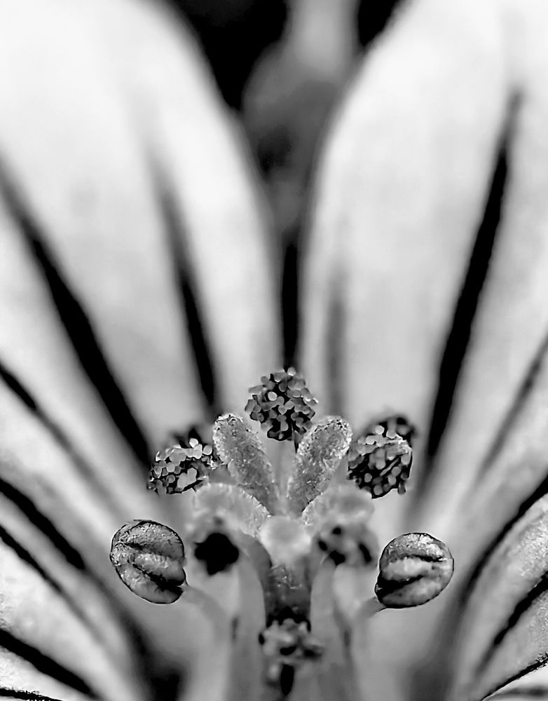 Photograph by Анна Епанчинцева