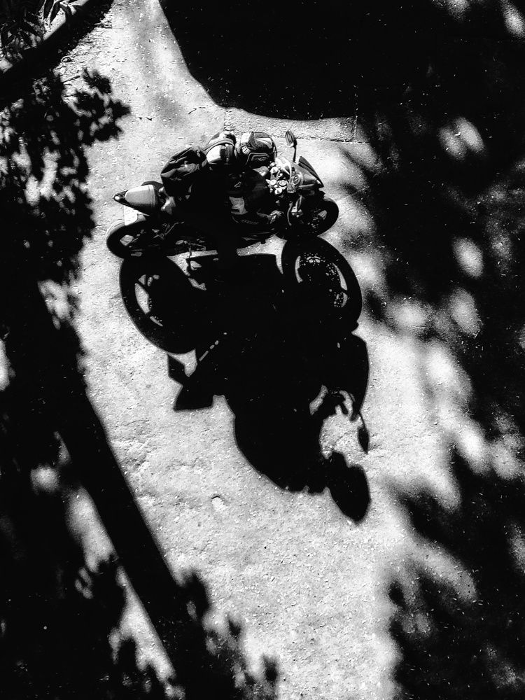 Photograph by Алина