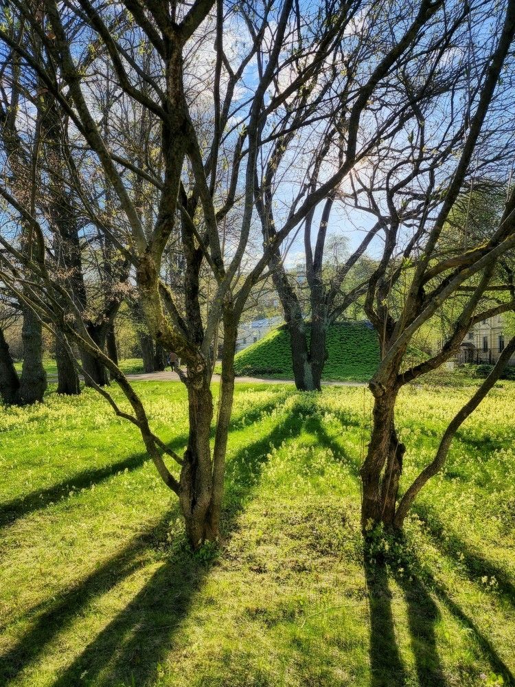 Photograph by Надежда Кудрявцева