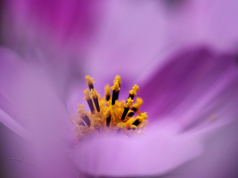 Photograph by Татьяна